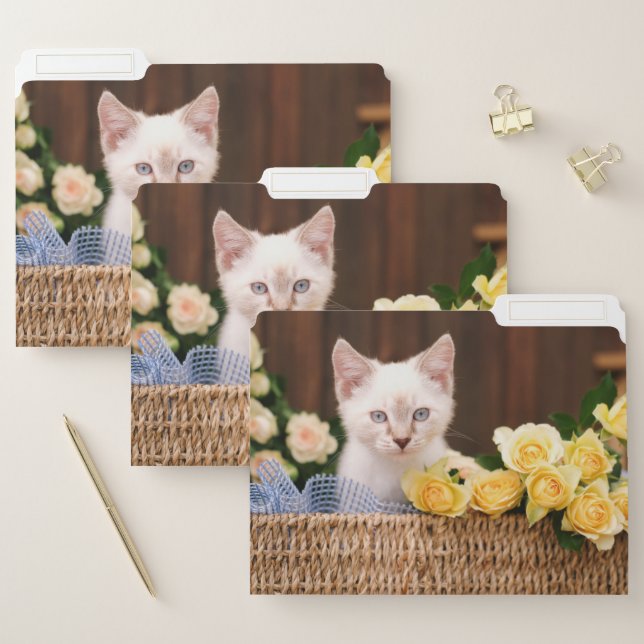 Cutest Baby Animals | Kitten & Yellow Roses File Folder (Set)