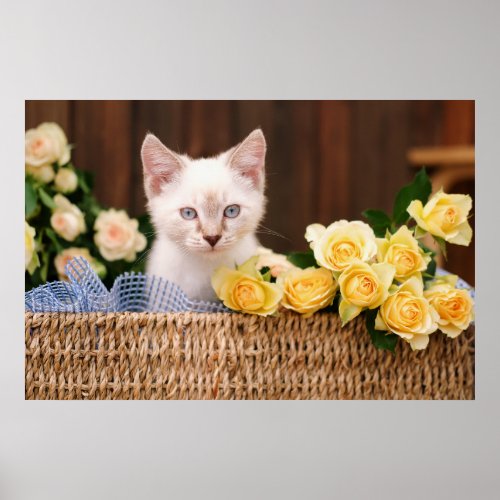 Cutest Baby Animals  Kitten  Yellow Roses Poster