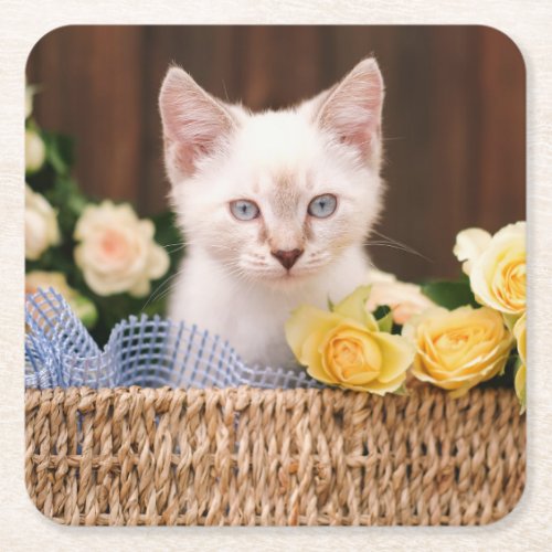 Cutest Baby Animals  Kitten  Yellow Roses Square Paper Coaster