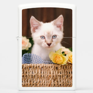 Cutest Baby Animals   Kitten & Yellow Roses Zippo Lighter