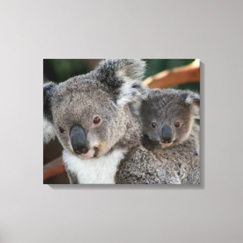 Cutest Baby Animals  Koala and Joey Canvas Print