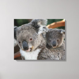 Cutest Baby Animals | Koala and Joey Canvas Print