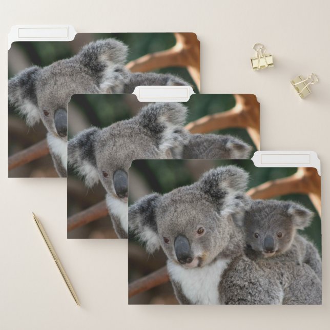 Cutest Baby Animals | Koala and Joey File Folder (Set)
