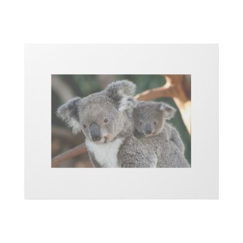 Cutest Baby Animals  Koala and Joey Gallery Wrap