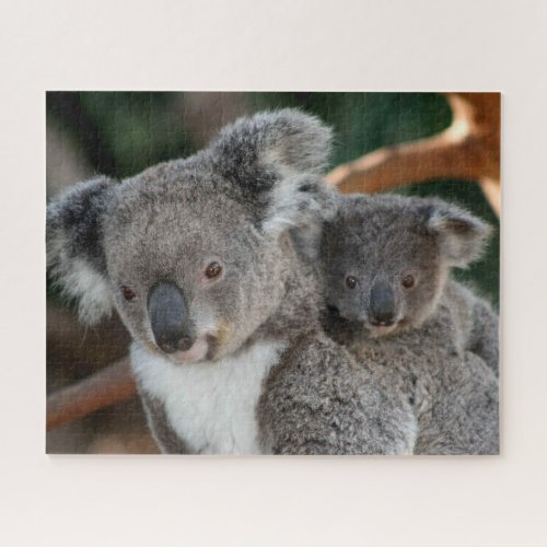 Cutest Baby Animals  Koala and Joey Jigsaw Puzzle