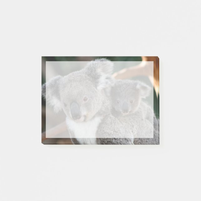 Cutest Baby Animals | Koala and Joey Post-it Notes (Front)