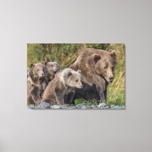 Cutest Baby Animals  Kodiak Mama Bear  Cubs Canvas Print