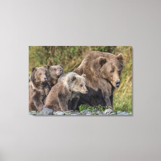 Cutest Baby Animals | Kodiak Mama Bear & Cubs Canvas Print (Front)