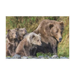 Cutest Baby Animals | Kodiak Mama Bear &amp; Cubs Canvas Print