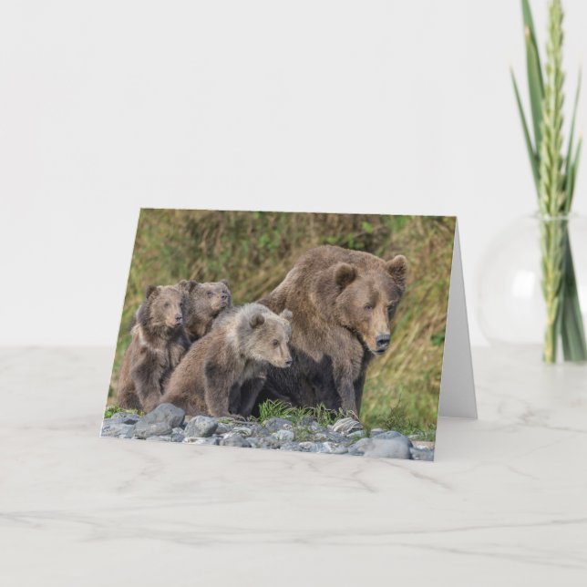 Cutest Baby Animals | Kodiak Mama Bear & Cubs Card (Front)