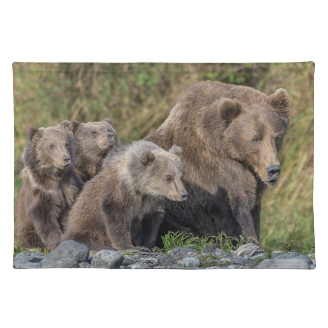 Cutest Baby Animals | Kodiak Mama Bear & Cubs Cloth Placemat (Front)