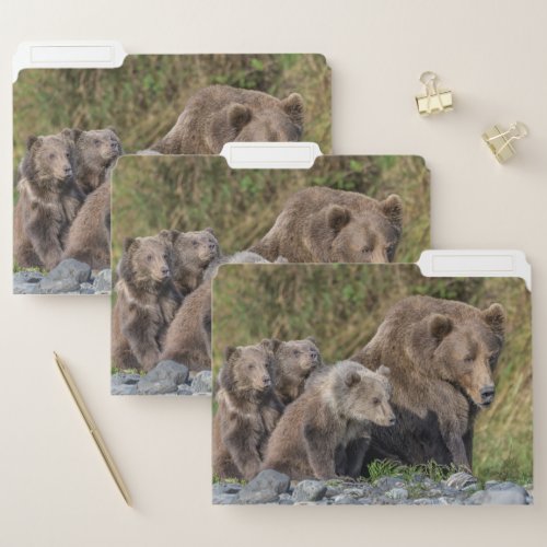 Cutest Baby Animals  Kodiak Mama Bear  Cubs File Folder