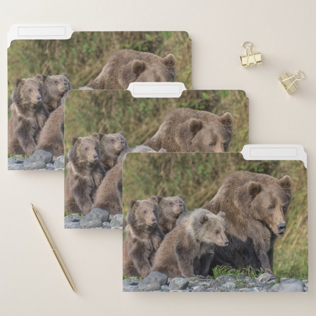 Cutest Baby Animals | Kodiak Mama Bear & Cubs File Folder (Set)