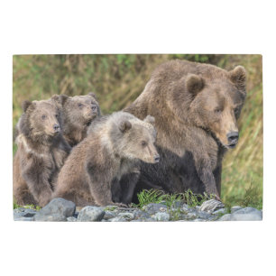 Cutest Baby Animals Kodiak Mama Bear & Cubs Metal Print