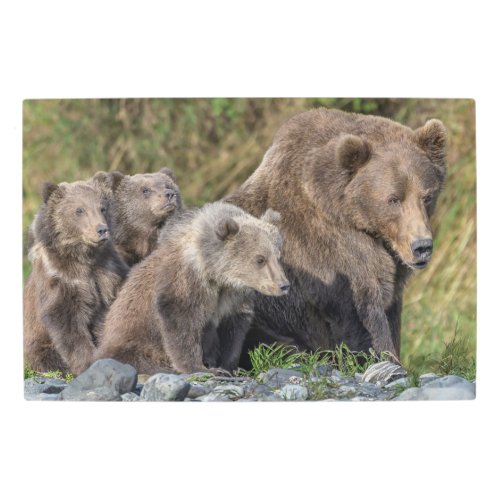 Cutest Baby Animals  Kodiak Mama Bear  Cubs Metal Print