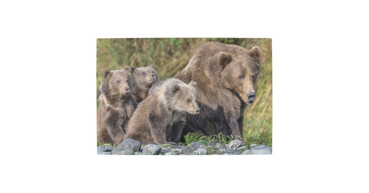 Mama Bear and Cub Art Print  Nursery Wall Art Print– the wild woods