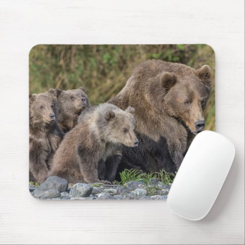 Cutest Baby Animals  Kodiak Mama Bear  Cubs Mouse Pad