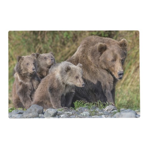 Cutest Baby Animals  Kodiak Mama Bear  Cubs Placemat