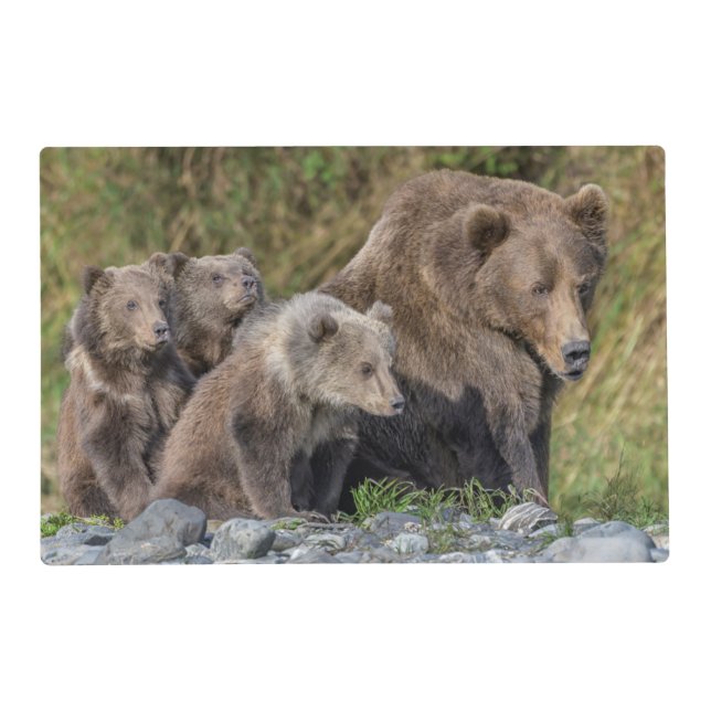 Cutest Baby Animals | Kodiak Mama Bear & Cubs Placemat (Front)