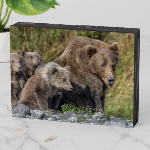 Cutest Baby Animals Kodiak Mama Bear & Cubs Wooden Box Sign