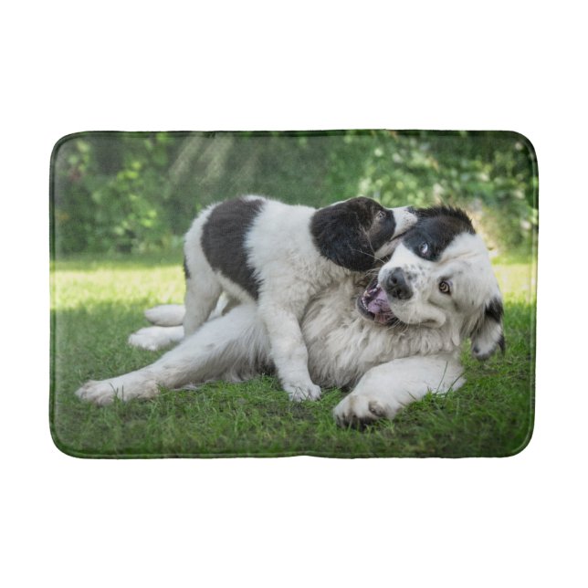 Cutest Baby Animals | Landseer Puppy Bath Mat (Front)