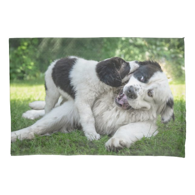 Cutest Baby Animals | Landseer Puppy Pillow Case (Front)