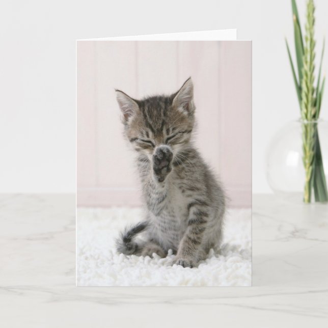 Cutest Baby Animals | Licking Tabby Kitten Card (Front)