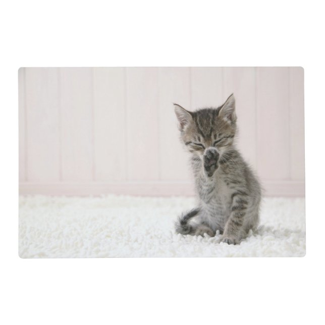 Cutest Baby Animals | Licking Tabby Kitten Placemat (Front)