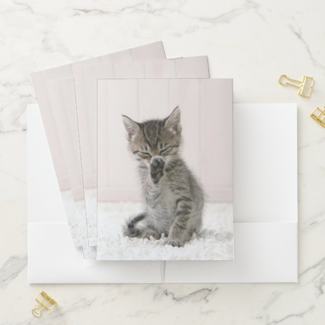 Cutest Baby Animals | Licking Tabby Kitten Pocket Folder (In Situ)