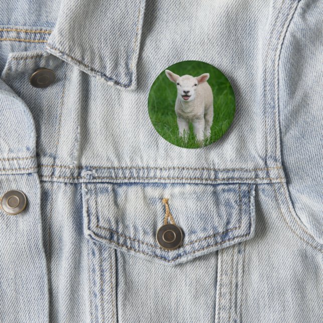 Cutest Baby Animals | Lil Lamb Button (In Situ)