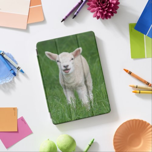Cutest Baby Animals  Lil Lamb iPad Air Cover