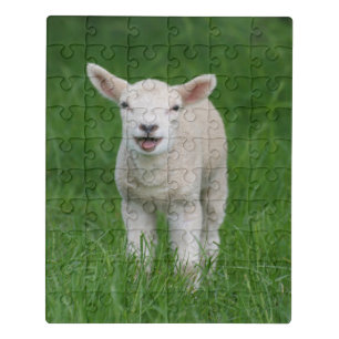 Cutest Baby Animals Lil Lamb Jigsaw Puzzle