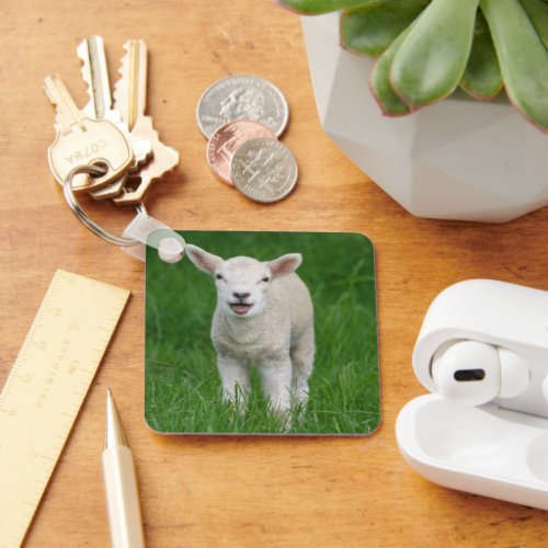 Cutest Baby Animals  Lil Lamb Keychain