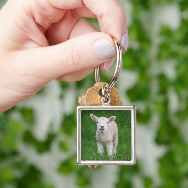 Cutest Baby Animals | Lil Lamb Keychain (Hand)