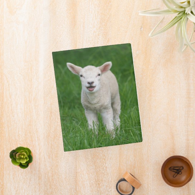 Cutest Baby Animals | Lil Lamb Mini Binder (InSitu)