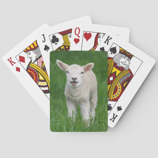 Cutest Baby Animals | Lil Lamb Poker Cards (Back)