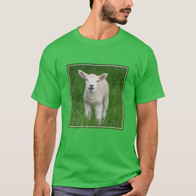 Cutest Baby Animals | Lil Lamb T-Shirt (Front)