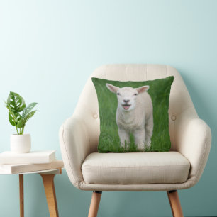 Cutest Baby Animals   Lil Lamb Throw Pillow