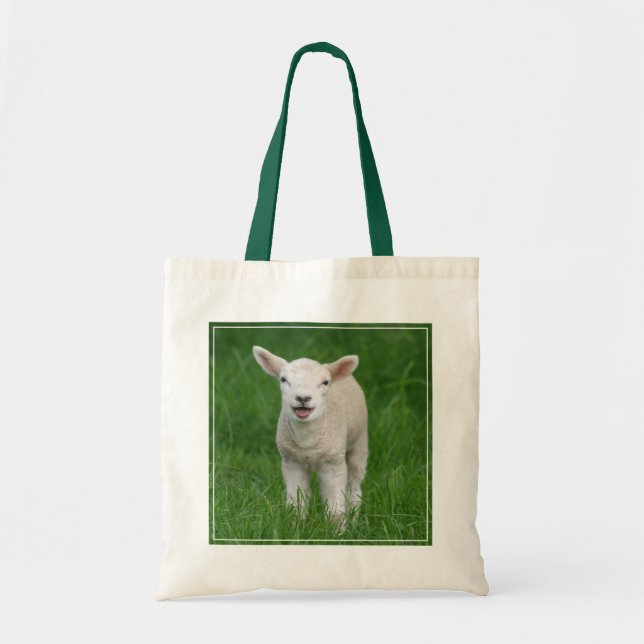 Cutest Baby Animals | Lil Lamb Tote Bag (Front)