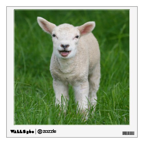 Cutest Baby Animals  Lil Lamb Wall Decal