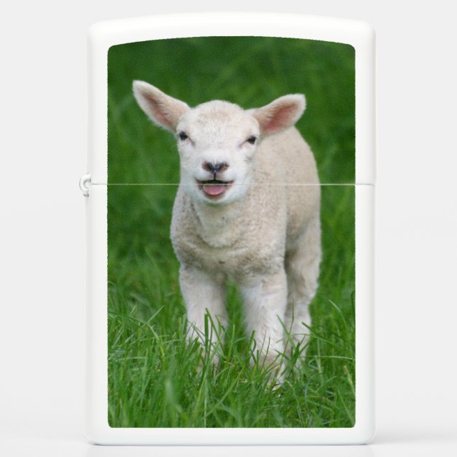 Cutest Baby Animals | Lil Lamb Zippo Lighter (Front)