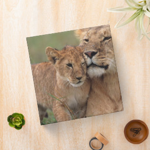 Cutest Baby Animals Lion Cub & Mother 3 Ring Binder