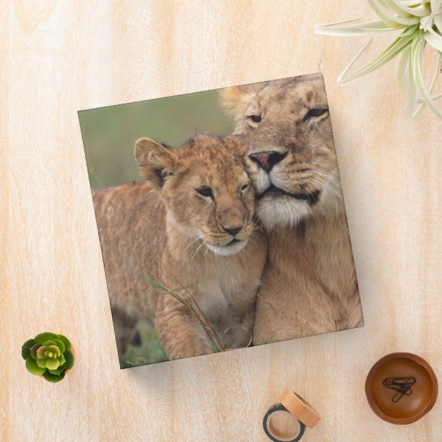 Cutest Baby Animals | Lion Cub & Mother 3 Ring Binder (In Situ)