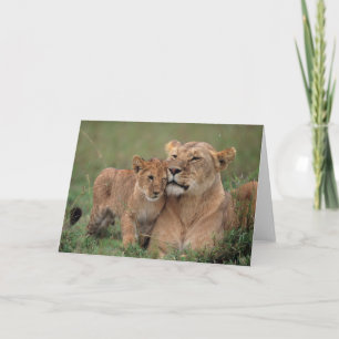 Cutest Baby Animals   Lion Cub & Mother Card