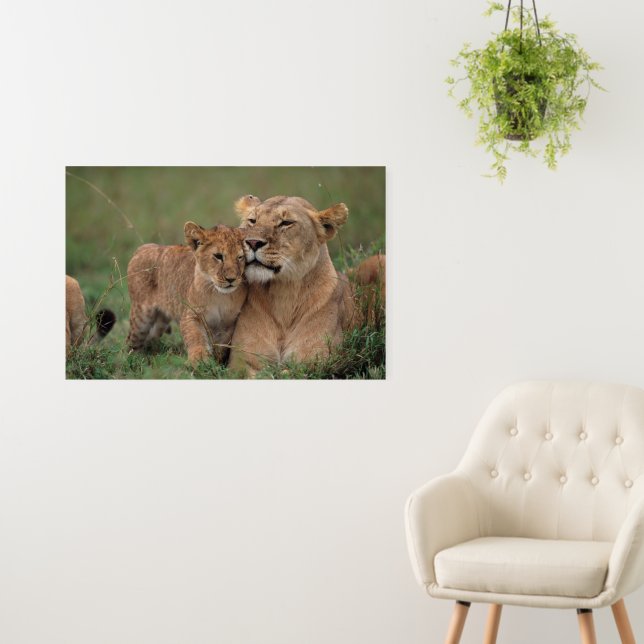 Cutest Baby Animals | Lion Cub & Mother Foam Board (In Situ (Wall))