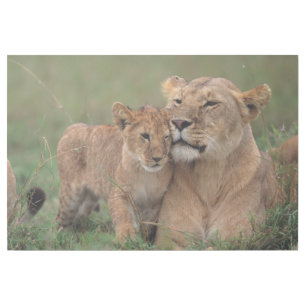 Cutest Baby Animals Lion Cub & Mother Gallery Wrap