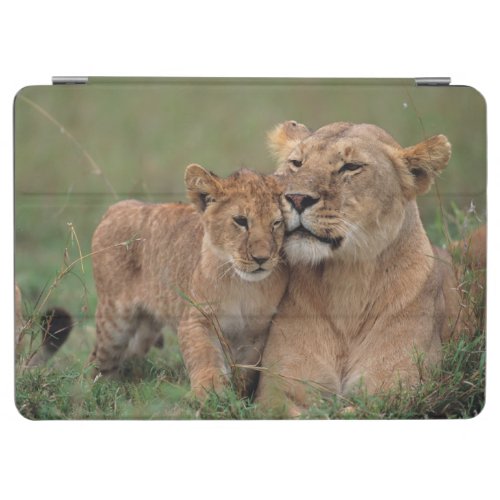 Cutest Baby Animals  Lion Cub  Mother iPad Air Cover