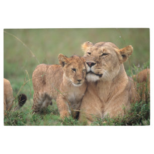 Cutest Baby Animals Lion Cub & Mother Metal Print