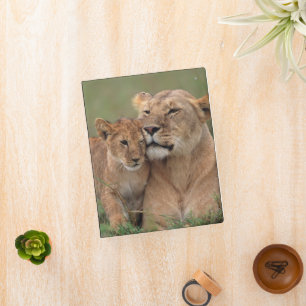 Cutest Baby Animals   Lion Cub & Mother Mini Binder