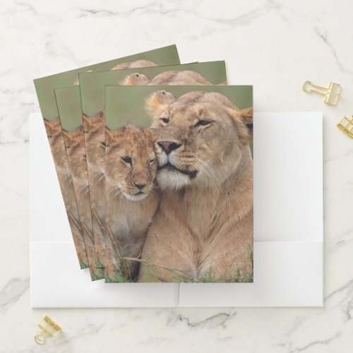 Cutest Baby Animals  Lion Cub  Mother Pocket Folder